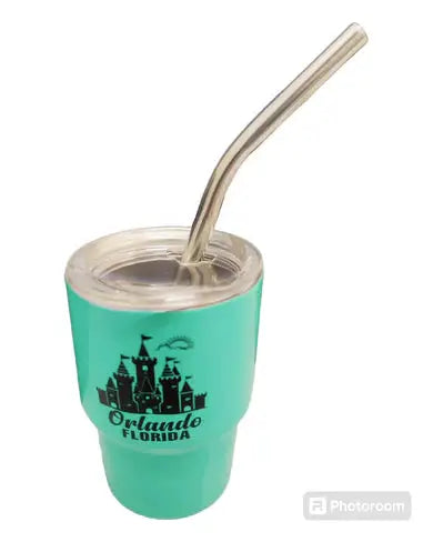 Orlando Florida Castle 3oz Mini Tumblr